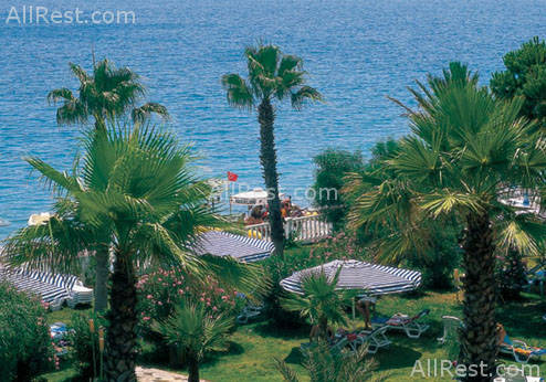 Paloma Beach 15